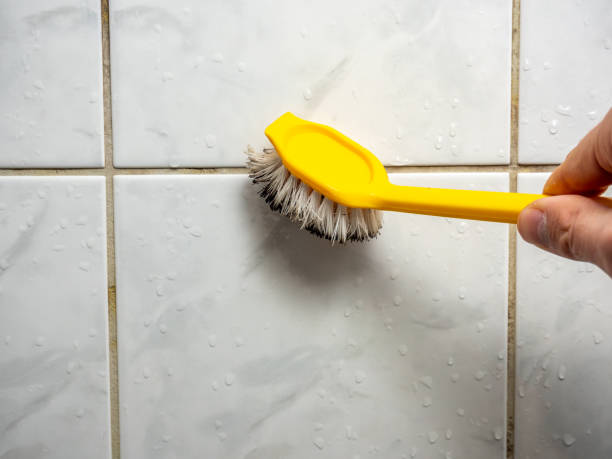 Best Emergency Mold Remediation in Pampa, TX