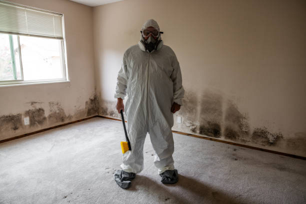 Best Mold Remediation for Specific Building Types in Pampa, TX
